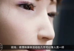 日本上床视频,背后真相与伦理争议